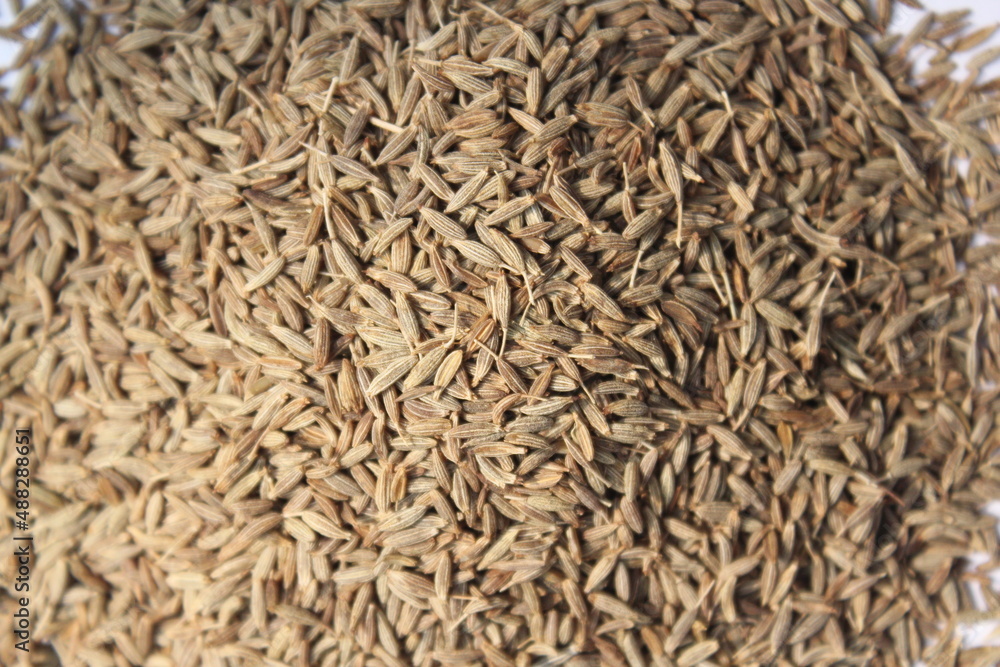 Closeup shot of fresh cumin seeds