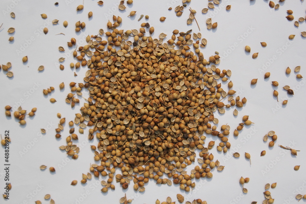 Coriander seeds on a white background Coriander seeds on a white background