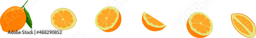 Orange Vector illustration, fruit orange icon. Fresh orange isolated on white background