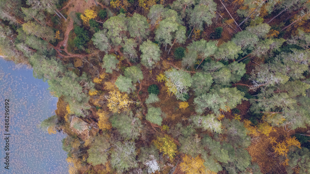 Lake and forest in Karelia among larch trees, Russia. Beautiful autumn season landscape with river and forest stock photography Lake and forest in Karelia among larch trees, Russia. Beautiful autumn season landscape with river and forest stock photography