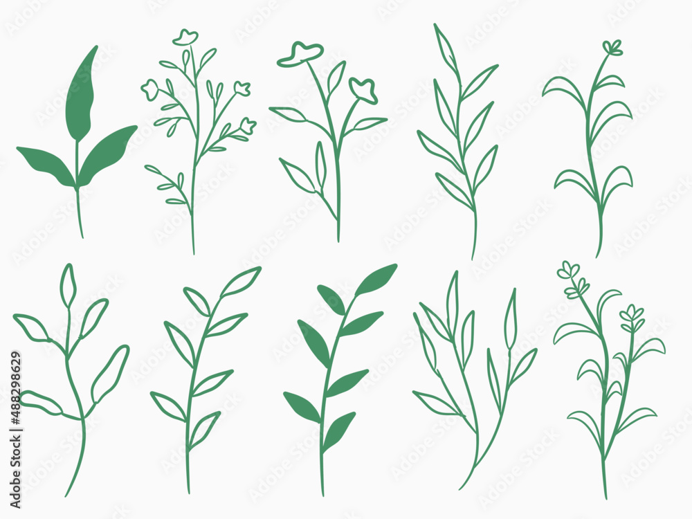 hand drawn decorative flower and leaves hand drawn decorative flower and leaves