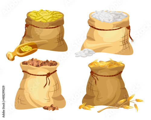 Sacks of different cereal grains cartoon illustration set. Wheat, buckwheat and rye for grinding into flour in burlap bags isolated on white background. Farming, food concept