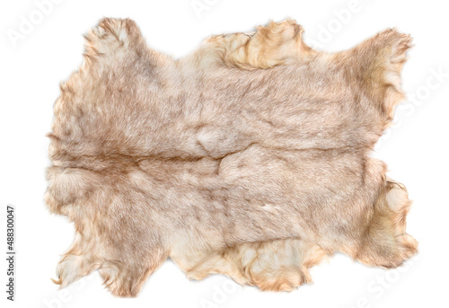 Goat fur isolated on white background. Top view.