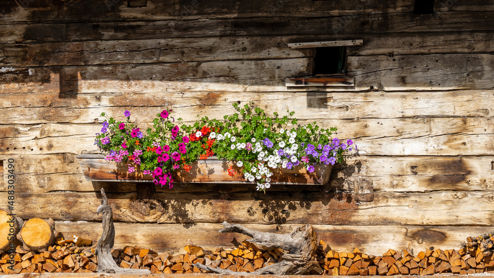 Traditional colorful flower box at the Alps and Dolomites. Summer time. Mix of flowers and colors. General contest of the European Alps