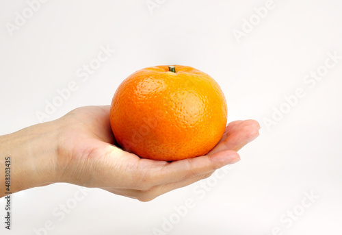 The girl's hand holds fresh tropical orange isolated on white background.                       