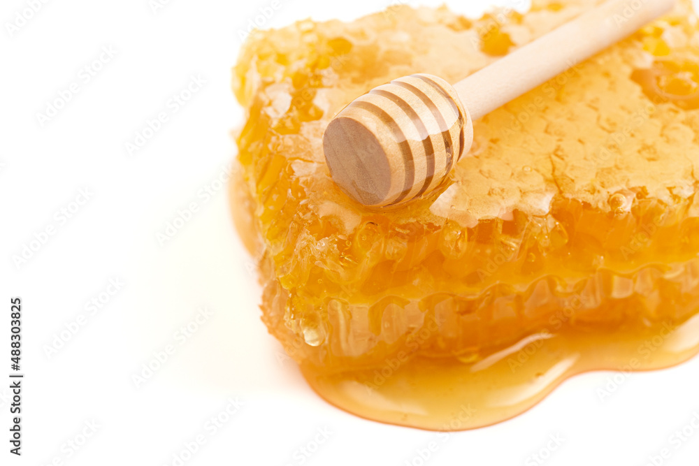 Cut Honeycomb on a White Background Cut Honeycomb on a White Background