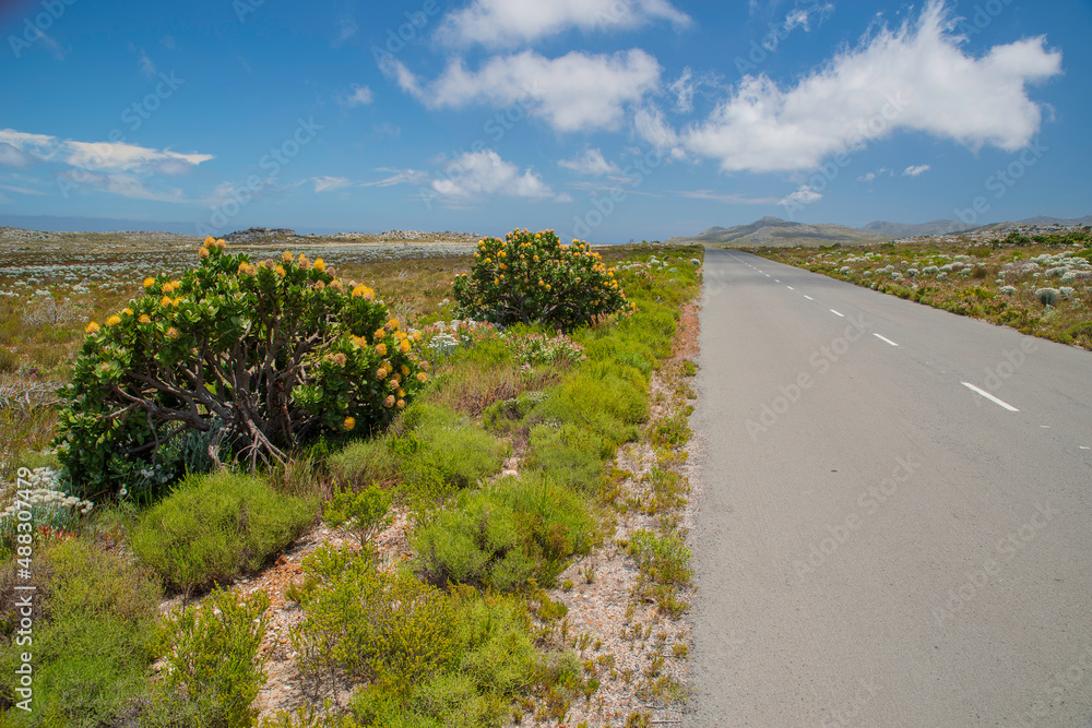 Cape of Good Hope