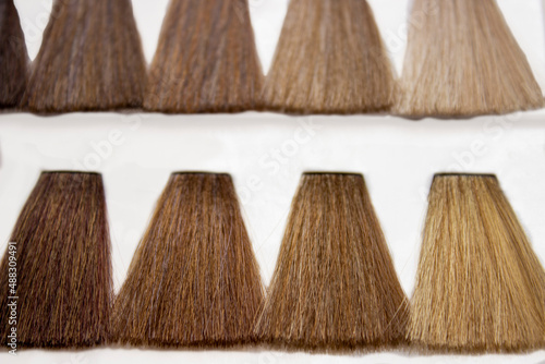 Set with color hair samples. Beauty and professional treatment