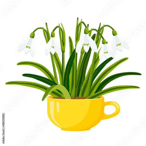 Snowdrops in a yellow cup. Vector illustration