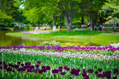 spring in the park