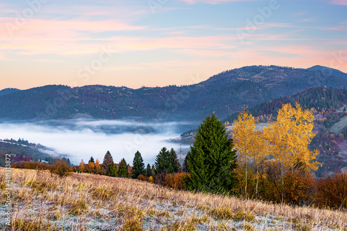 Hill with trees against gorge covered with fog in autumn