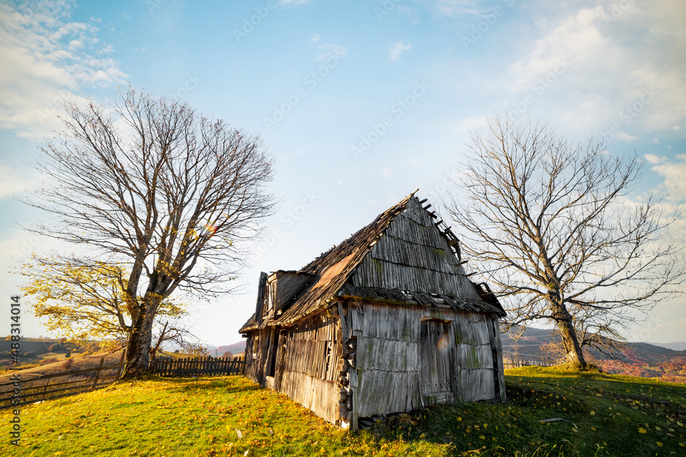 Fototapeta premium Abandoned wooden house surrounded by bare trees in highland
