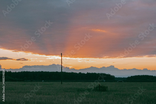 sunset over the field