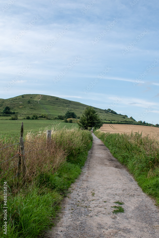 Views of Cley Hill near Warminster, Wiltshire. On the path at the start of the approach. July 2021