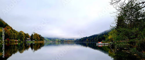 reflection in the water