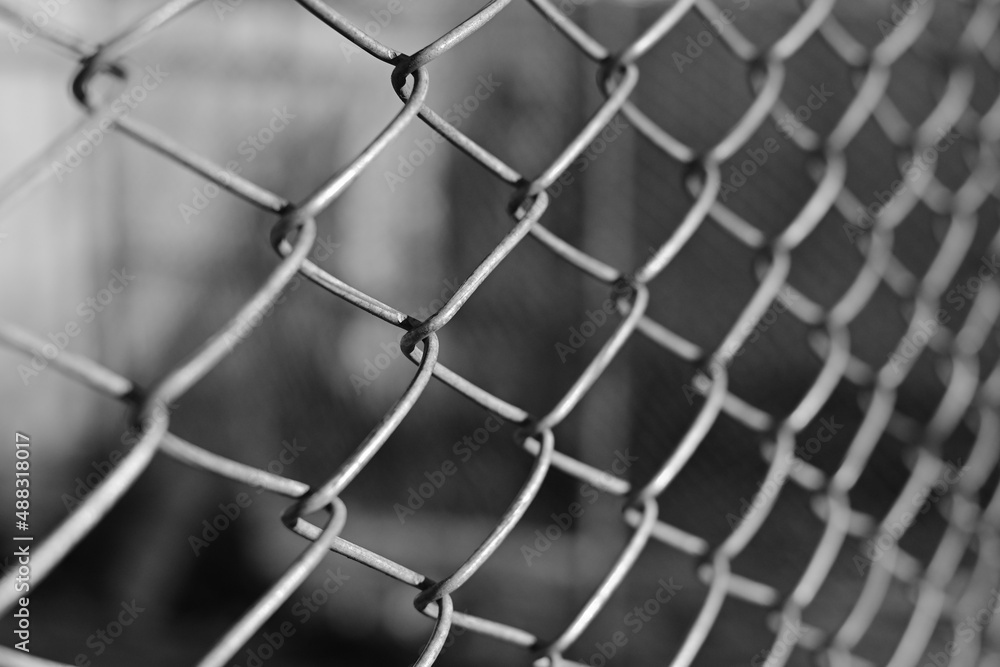 chain-link mesh, lattice fence. mesh fence. chain-link mesh, lattice fence. mesh fence.