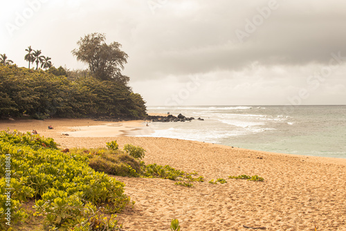 Panoramic landscape from a beach in Kauai  Hawai
