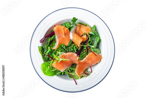 salmon salad slices fish green salad mix leaves seafood fresh healthy meal food diet snack on the table copy space food background 