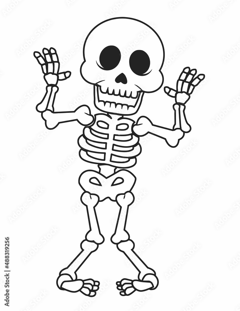 Human Skeleton Collection Act Illustration, Funny Skeleton Drawing, Outline, Line art, Cartoon Skeleton Vector. Human Skeleton Collection Act Illustration, Funny Skeleton Drawing, Outline, Line art, Cartoon Skeleton Vector.