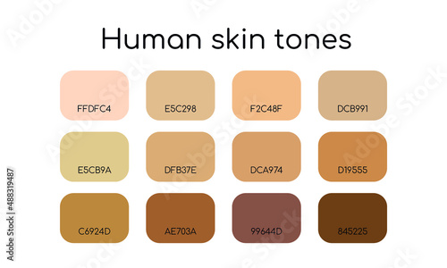 Skin tones palette by palette code. Different types human skin. Flat icon set. Vector  