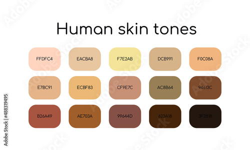 Skin tones palette by color codes. Different types human skin.  Flat icon set. Vector  