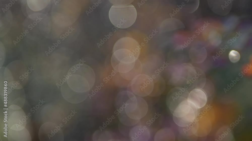 Abstract landscape - multi-colored highlights shimmer in the sun. A kaleidoscope of colored lights, an autumn landscape, the picture is out of focus. Abstract landscape - multi-colored highlights shimmer in the sun. A kaleidoscope of colored lights, an autumn landscape, the picture is out of focus.