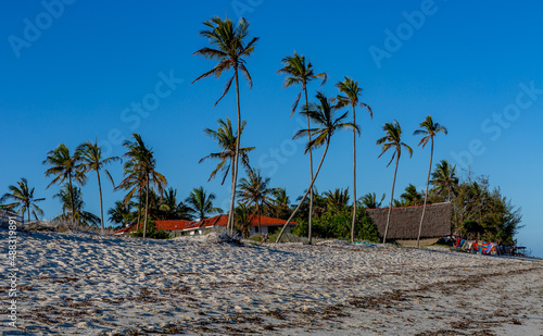 Panoramic view of the sandy shore with palm trees and houses in the background against the blue sky