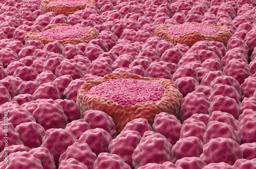 Taste bud receptor fields on the tongue - closeup view 3d illustration photo