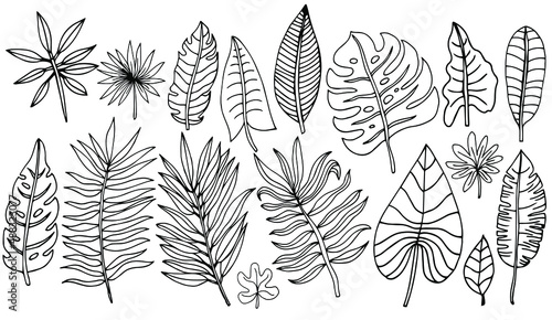 Set of hand drawn vector tropical leaves. Silhouettes of abstract branches in minimalistic flat style isolated on white background. Natural elements with a line for the design of patterns, ornaments