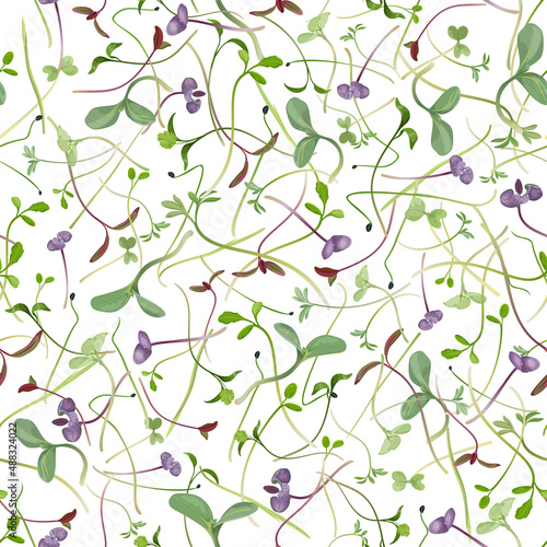 Seamless repeating pattern of sprouting microgreens on white background, vector illustration. 