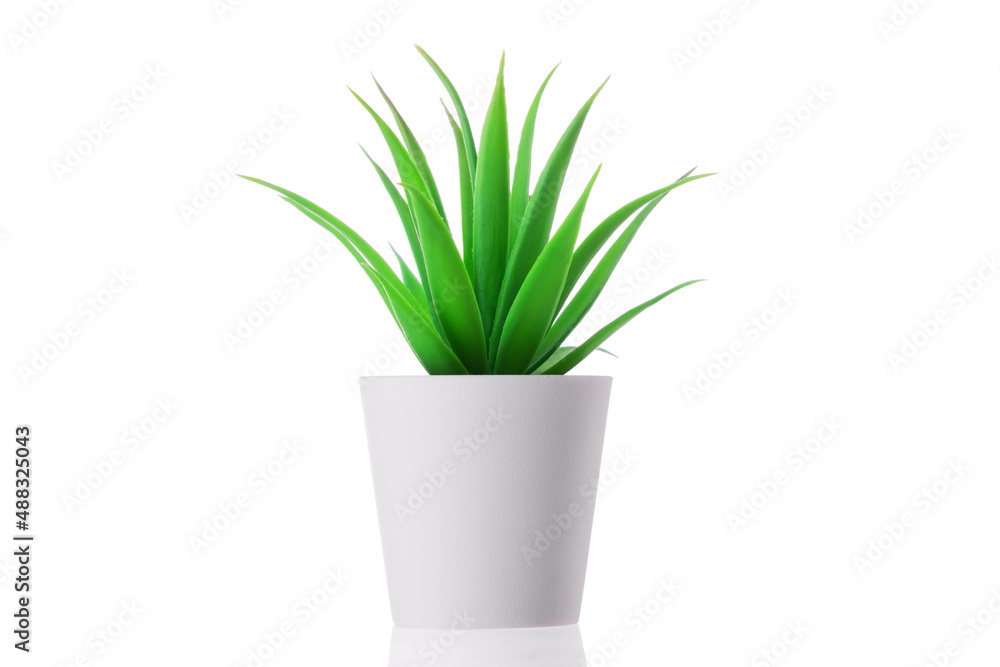 Green plant in a pot at home. Artificial flower vase decoration Green plant in a pot at home. Artificial flower vase decoration