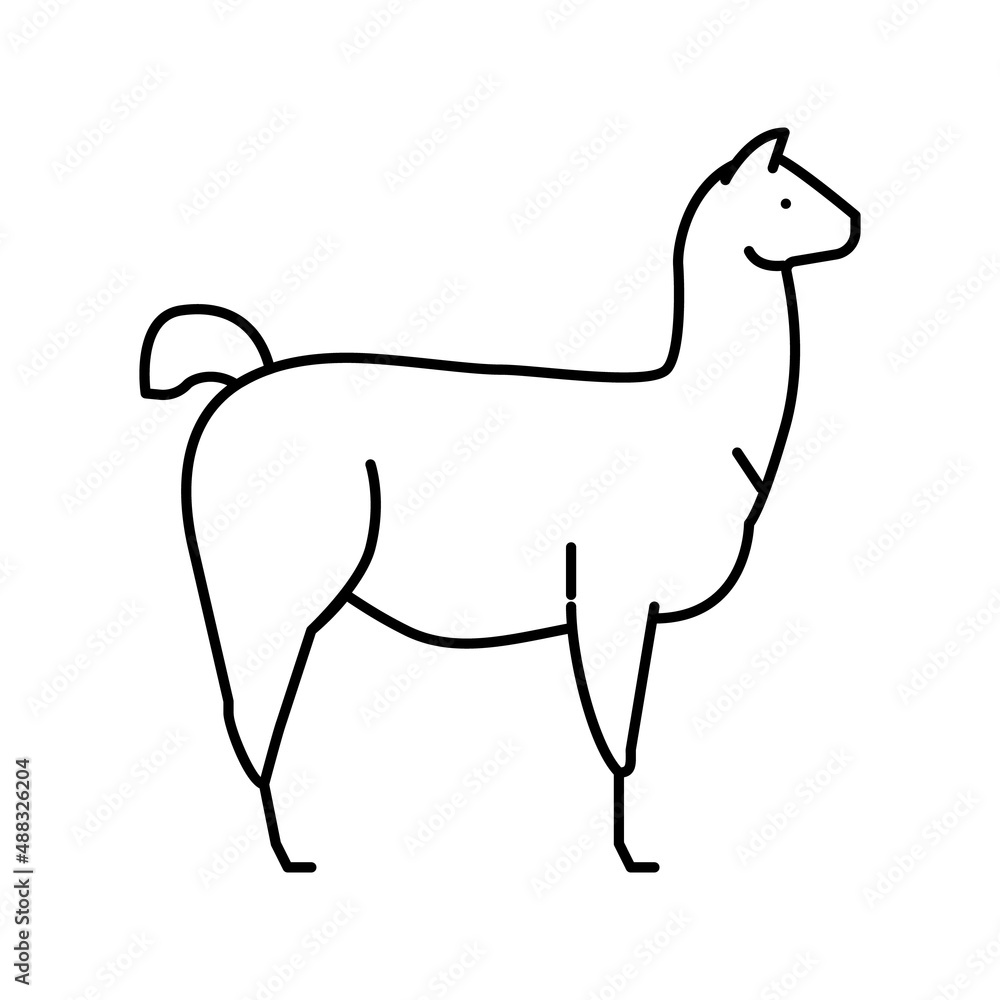 lama wild animal line icon vector illustration lama wild animal line icon vector illustration