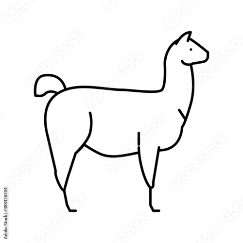 lama wild animal line icon vector illustration