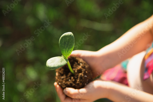Young green sprout in the hands of a child in the light of the sun on a background of green grass. Natural seedlings, eco-friendly, new life, youth. The concept of development, peace, care. Copy space