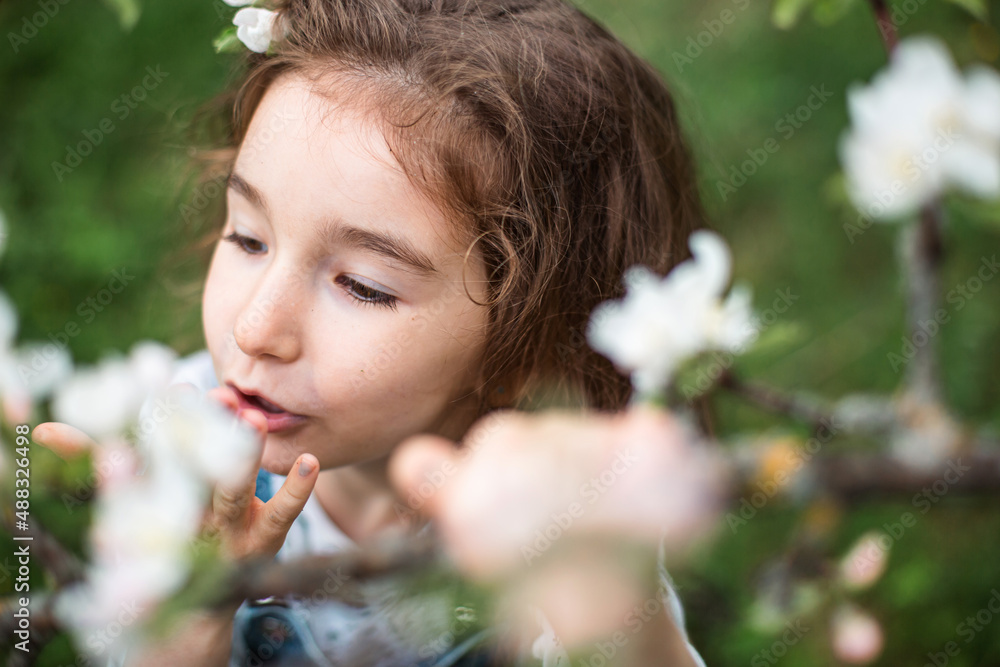 A cute little girl of 5 years old in a blooming white apple orchard in spring. Springtime, orchard, flowering, allergy, spring fragrance, tenderness, caring for nature. Portrait A cute little girl of 5 years old in a blooming white apple orchard in spring. Springtime, orchard, flowering, allergy, spring fragrance, tenderness, caring for nature. Portrait
