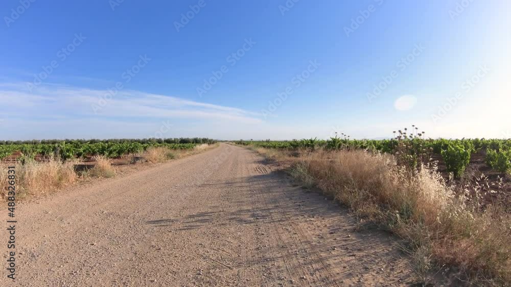 Via de la Plata, a dirt road through huge vineyards just after Villafranca de los Barros, province of Badajoz, Extremadura, Spain - dolly Via de la Plata, a dirt road through huge vineyards just after Villafranca de los Barros, province of Badajoz, Extremadura, Spain - dolly