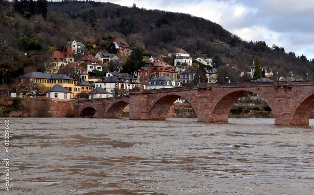 Wohnen am Neckar in Heidelberg