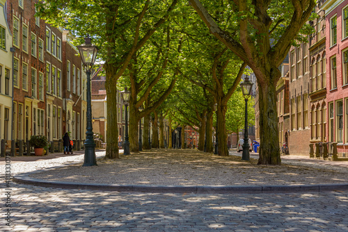 Tree lane on the Hooglandse Kerkgracht in Leiden, the Netherlands photo