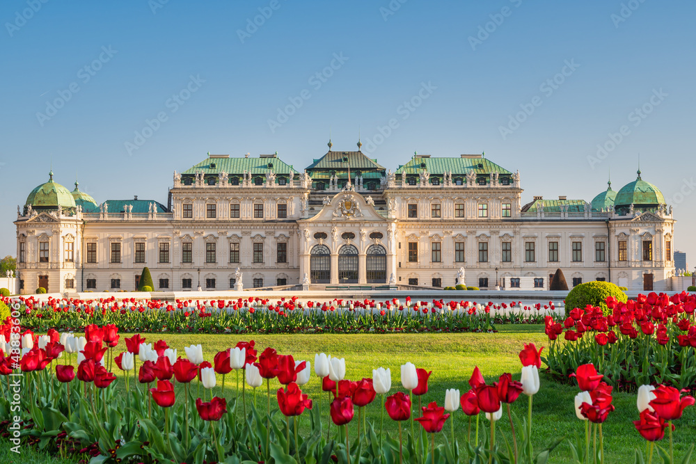 Obraz na płótnie Vienna Austria city skyline at Belvedere Palace and spring tulips bulb flower w salonie