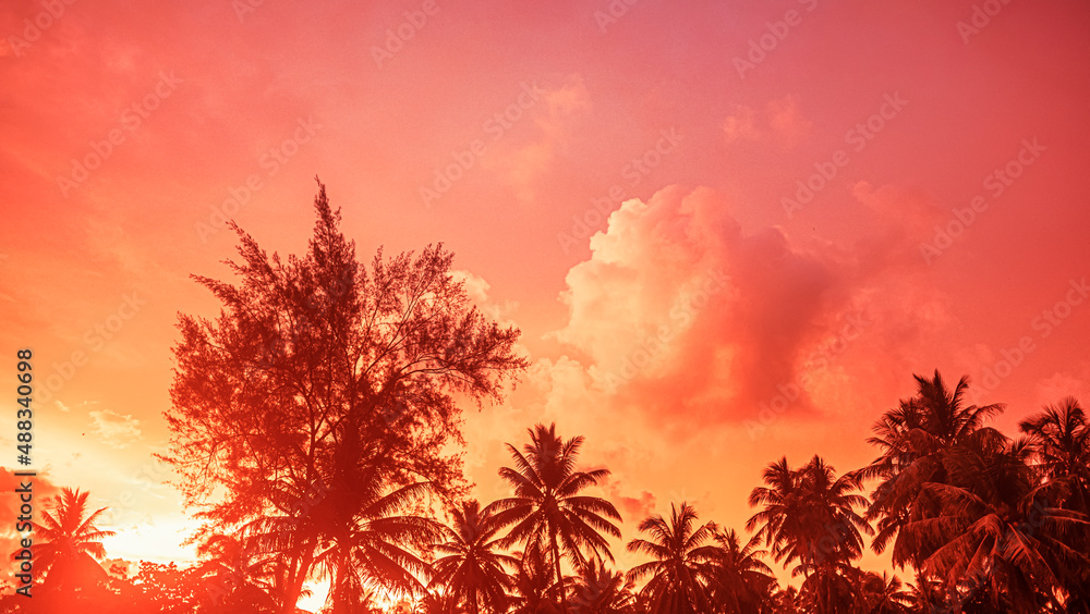 red colorful sunset over the jungle. silhouettes of palm trees and trees over a tropical forest colorful landscape exotic