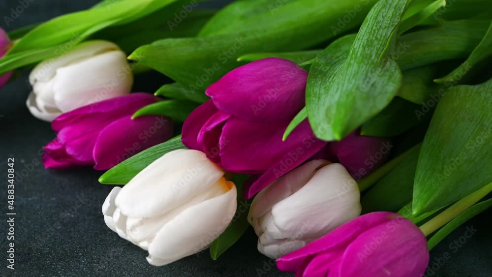 Bouquet of tulips on dark background. concept of spring and womens day, Mothers day, 8 March, Birthday. Put tulips on table. Assorted tulips. Romantic gift. Bouquet of tulips on dark background. concept of spring and womens day, Mothers day, 8 March, Birthday. Put tulips on table. Assorted tulips. Romantic gift.