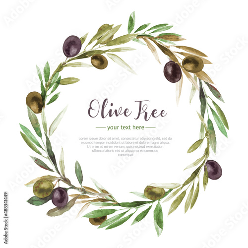Pretty olive branch background in watercolor style