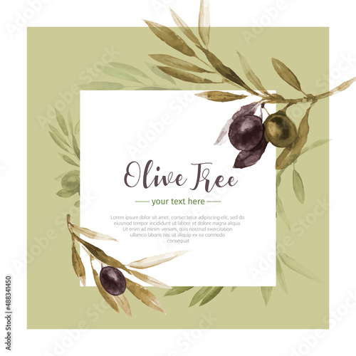 Pretty olive branch background in watercolor style