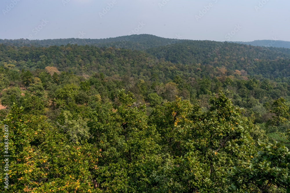 A beautiful landscape view of lord shiva temple forest from top of mountain.