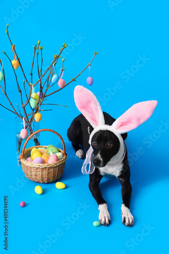 Cute dog in bunny ears with...