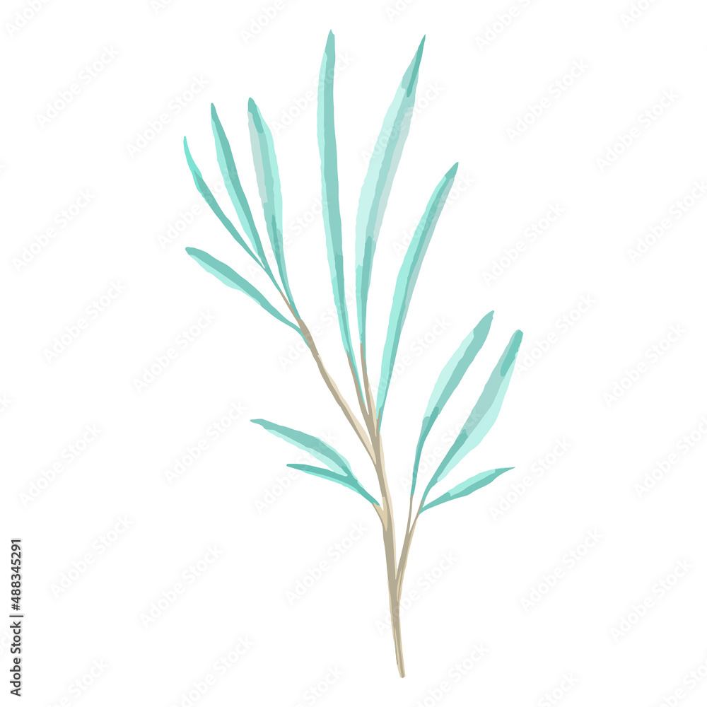 Hand drawn Vector watercolor eucalyptus branch. Element for decor of wedding invitations.