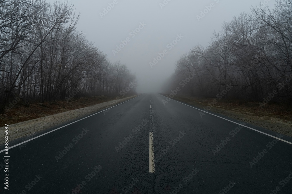 Fototapeta premium misty forest road in the fog