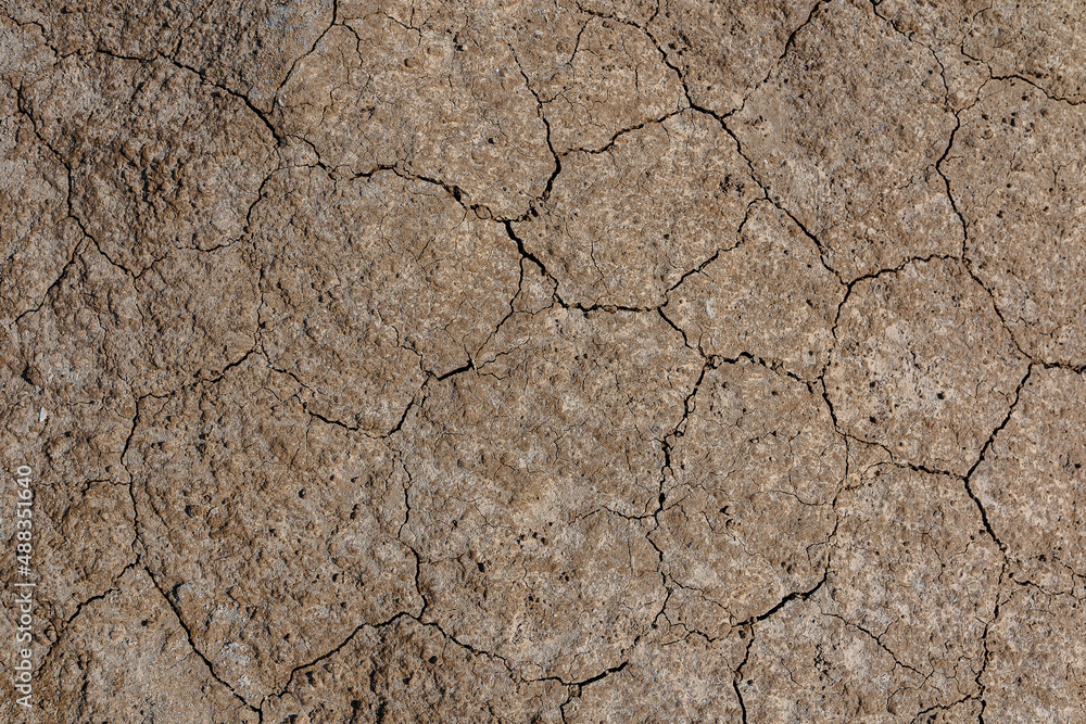 Cracked dry texture of brown soil, dehydrated soil, with dried plant remains. Seamless ground background, with evenly distributed cracks