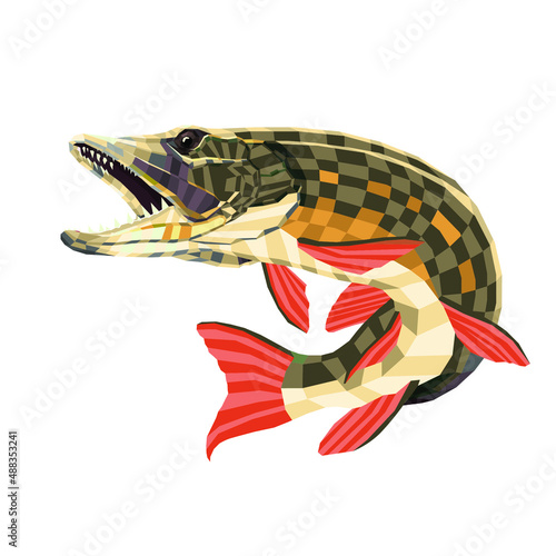 pike fish lowpoly style vector illustration design