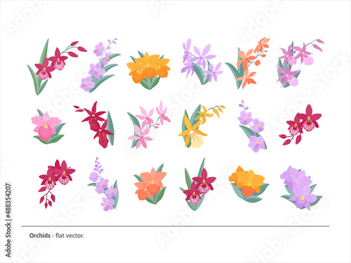 A big set of twigs, small bouquets and flower arrangements of different varieties of orchids. Light, elegant flowers for your compositions, congratulations design and the like. Flat vector.
